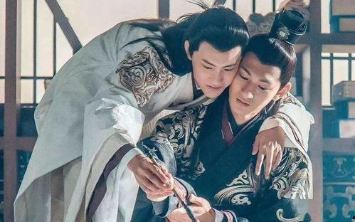汉哀帝董贤电视剧,宫廷权谋与爱情纠葛